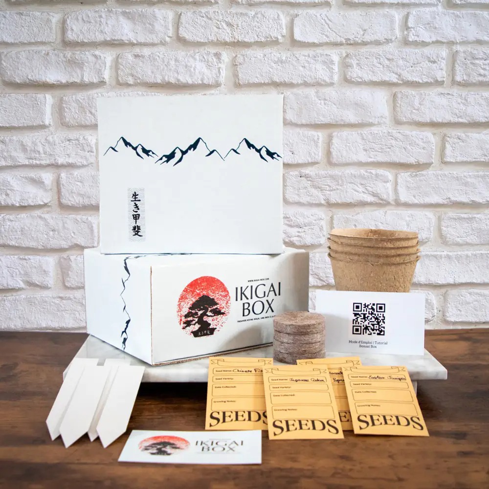 Ikigai Box online store
